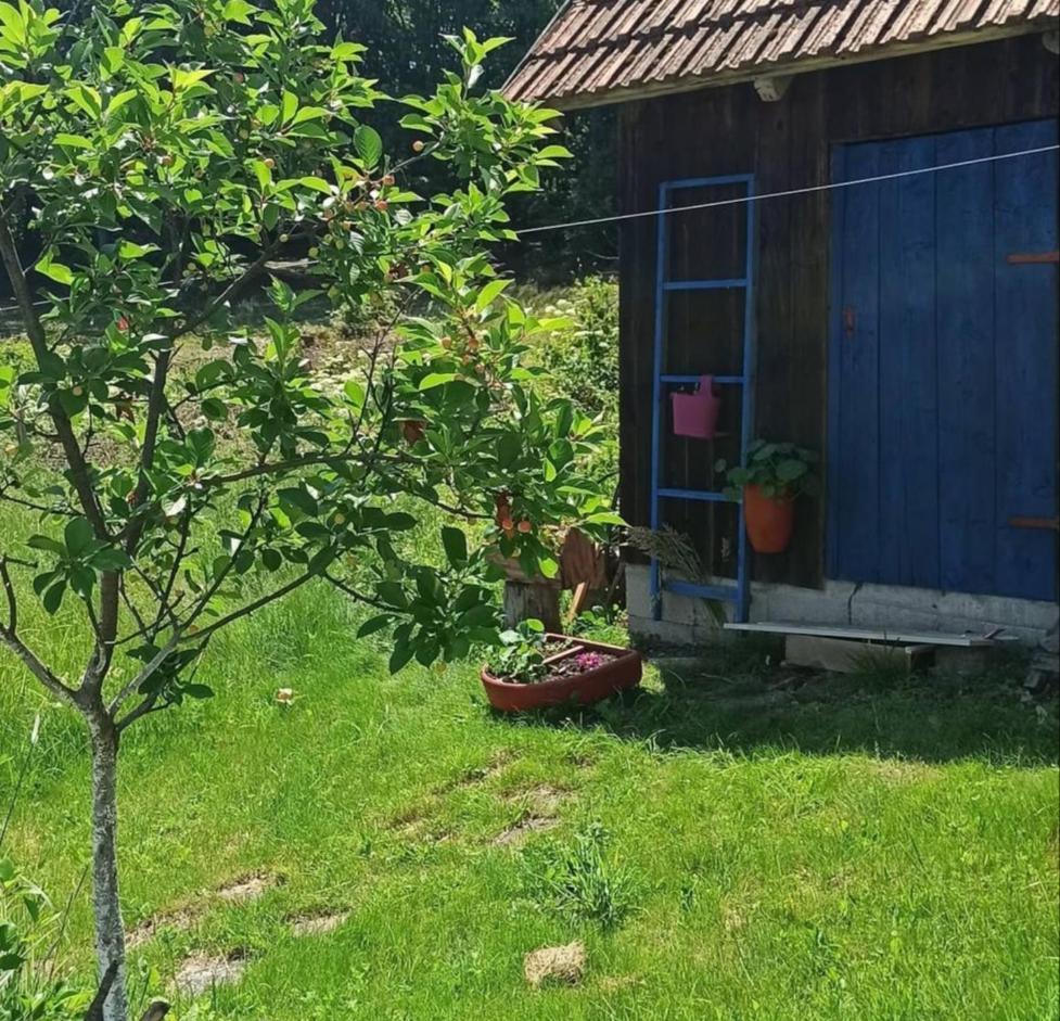 Kuca Despot Kremna Exterior foto